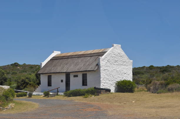istock Cape of Good Hope National Park (8) 1468563583
