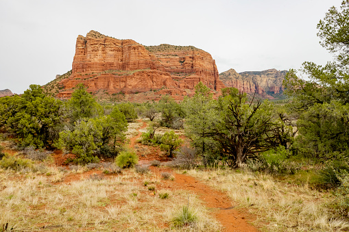 This is a photograph of a dirt hiking trail leading to the scenic bell rock vortex landscape in Sedona, Arizona in spring time.