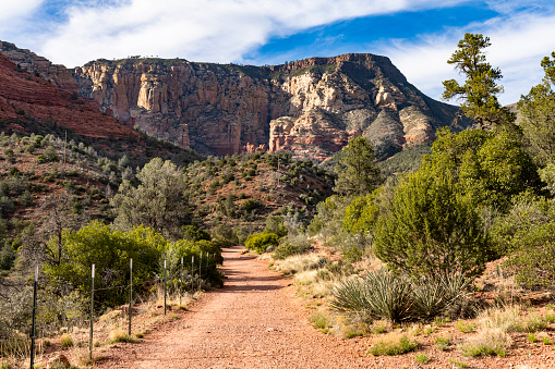 This is a photograph of a dirt hiking trail leading to a mountain landscape outside Sedona, Arizona in spring time.