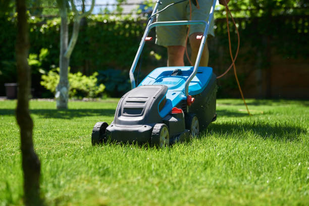 istock Gardener mowing the lawn 1468571557