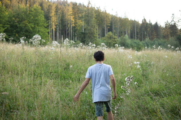 istock Rearview of dark haired boy touching grass and flowers, plants while walking through field near forest. Summer vacation 1468572696