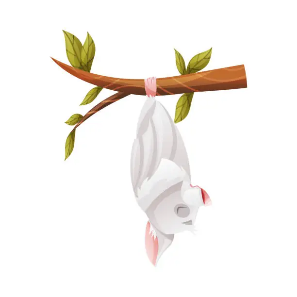 Vector illustration of Funny Grey Bat with Cute Snout Hanging Upside Down on Tree Branch and Sleeping Vector Illustration