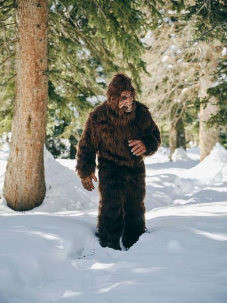 istock Sasquatch Bigfoot in a Winter Forest 1468575874