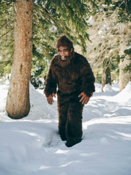 istock Sasquatch Bigfoot in a Winter Forest 1468575894