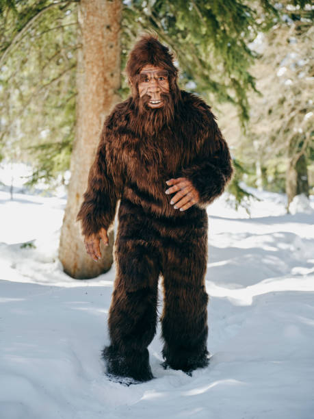 istock Sasquatch Bigfoot in a Winter Forest 1468575919