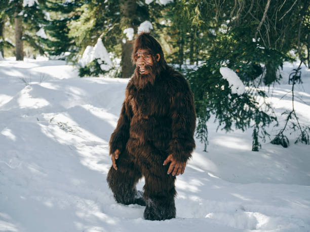 istock Sasquatch Bigfoot in a Winter Forest 1468576039