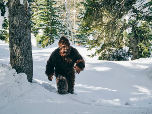 istock Sasquatch Bigfoot in a Winter Forest 1468576152