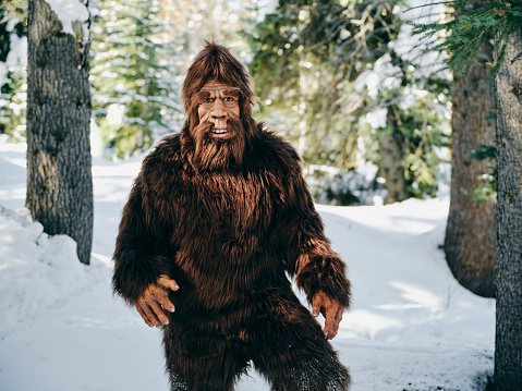 Bigfoot Sasquatch in a mountain forest during winter.