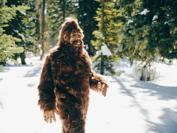 istock Sasquatch Bigfoot in a Winter Forest 1468576258