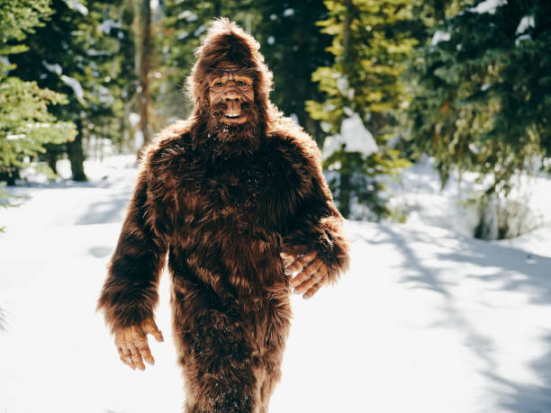 istock Sasquatch Bigfoot in a Winter Forest 1468576304