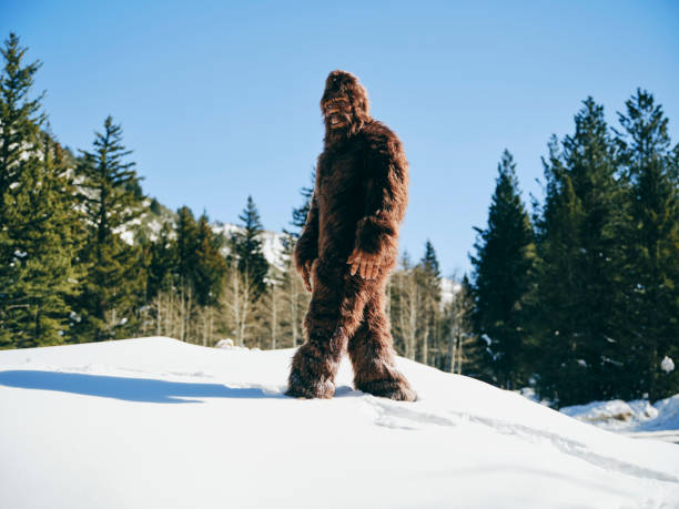 istock Sasquatch Bigfoot in a Winter Forest 1468576348