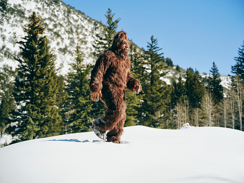 Sasquatch Bigfoot in a Winter Forest