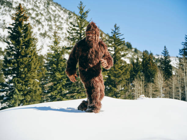 istock Sasquatch Bigfoot in a Winter Forest 1468576472