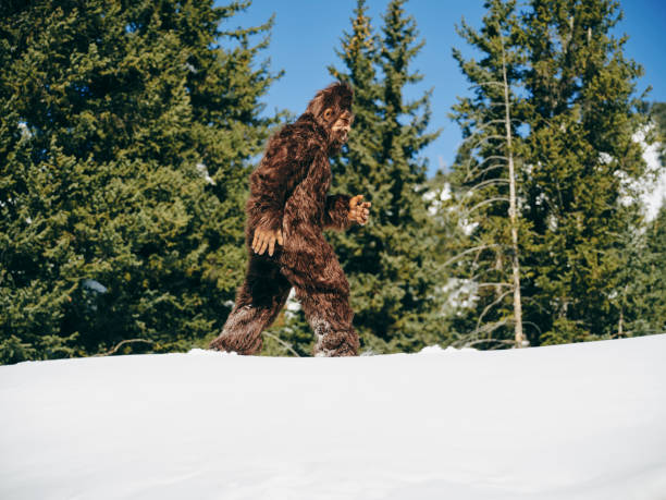 istock Sasquatch Bigfoot in a Winter Forest 1468576511
