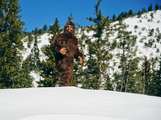 istock Sasquatch Bigfoot in a Winter Forest 1468576560