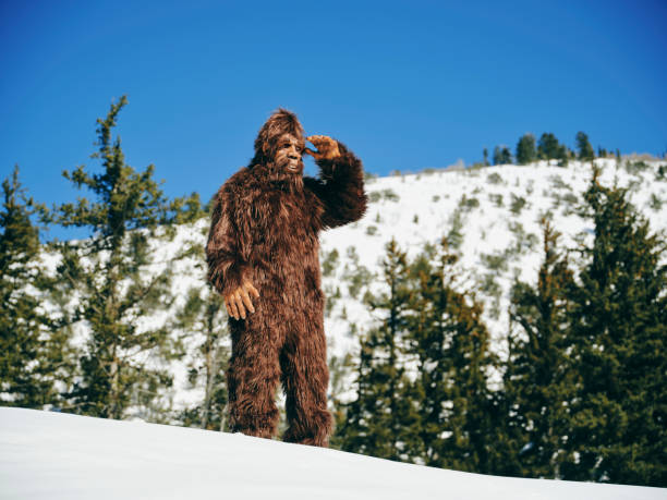 istock Sasquatch Bigfoot in a Winter Forest 1468576618