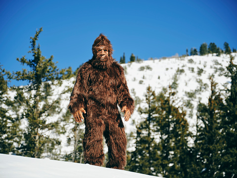 Bigfoot Sasquatch in a mountain forest during winter.