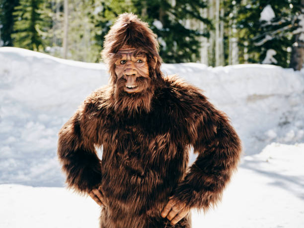 istock Sasquatch Bigfoot in a Winter Forest 1468576715