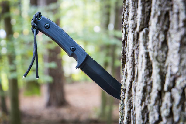 森の木の切り株に突き刺さった戦術的なアーミーナイフ