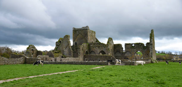 istock Hore Abbey Cashel, Co. Tipperary, Ireland 1468581467