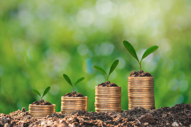 istock A seedling growing on coins with a natural backdrop, blurry green, money-saving ideas, and economic growth.saving money concept 1468583346