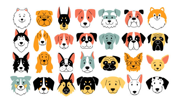 illustrations, cliparts, dessins animés et icônes de vecteur mignon illustratuib dessin animé chien icône isolée - chien de salon