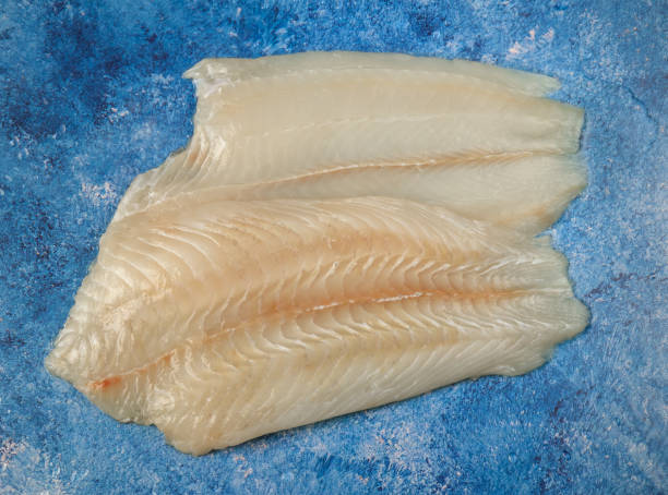Turbot raw fish fillet