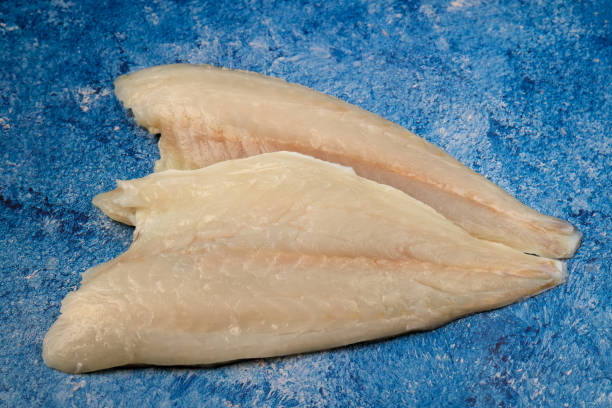 istock Gilthead bream raw fish fillet 1468585115