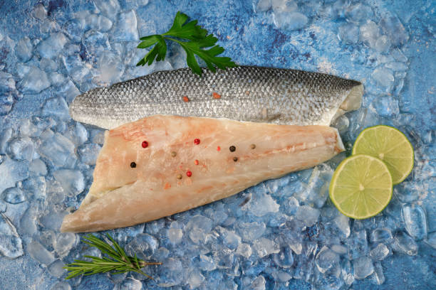 istock European seabass raw fish fillet on ice 1468585125