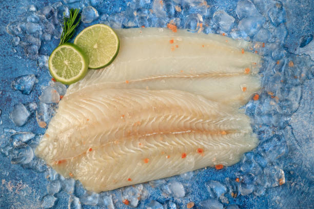 istock Turbot raw fish fillet on ice 1468585161