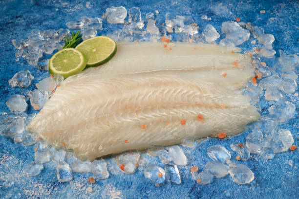 istock Turbot raw fish fillet on ice 1468585199