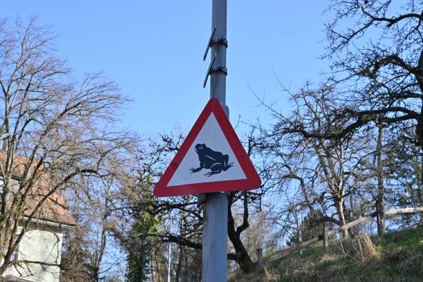 Amphibian migration traffic sign placed on a metal pole. Drivers must pay attention to migrating frogs in the springtime. Low angle view with some copy space the background.