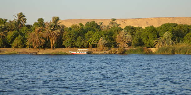 istock Excursion boat on Nile, Egypt, Africa 1468587331