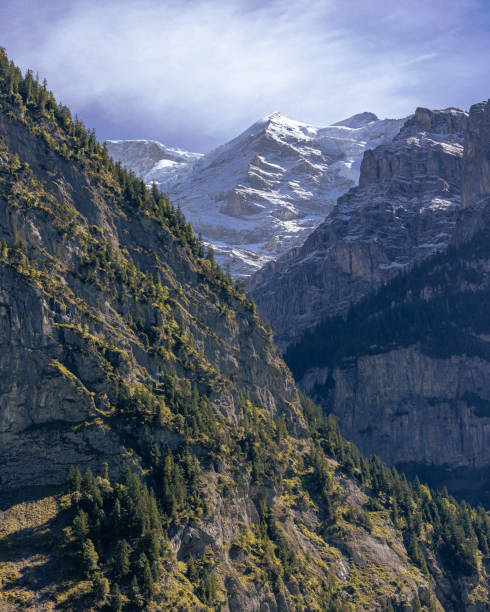 istock Painting the Swiss Alps 1468588343