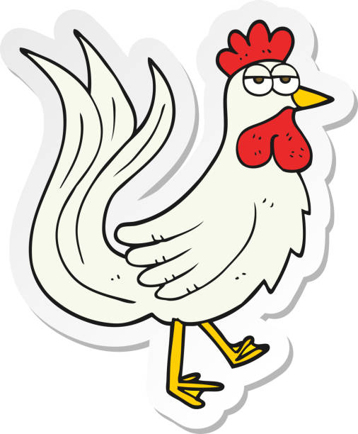 sticker of a cartoon cock sticker of a cartoon cock crazy chicken stock illustrations