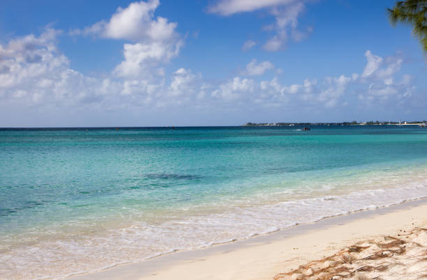 istock Seven mile beach in Grand Cayman 1468591886