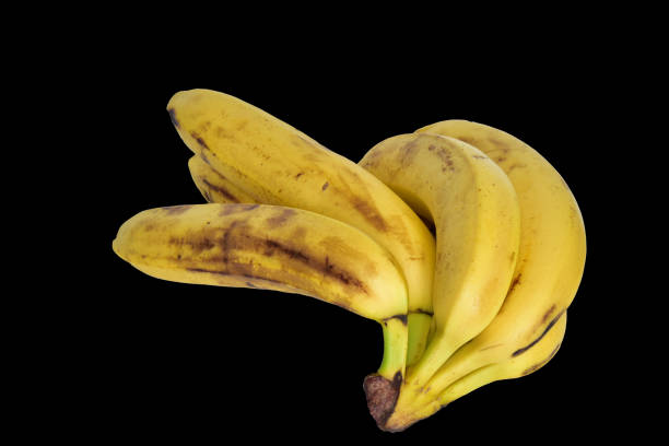 istock A branch of bananas on a black background. 1468593776