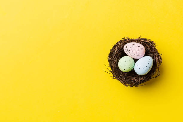istock Colorful easter eggs in nest on table background with copy space top view 1468594207