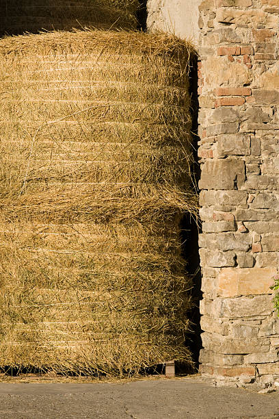 Hay Round bales | Hay bales stock photo