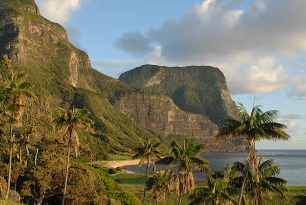 lord howe island - lord howe island - fotografias e filmes do acervo