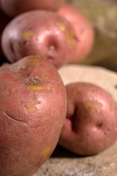 You Say Potato stock photo