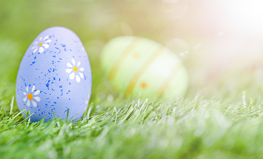 Easter Eggs on Fresh Green Grass