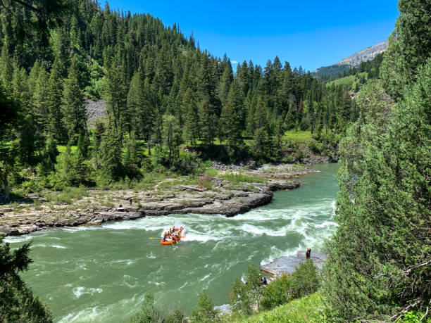 와이오밍 주 잭슨 근처의 스네이크 강에서 급류 래프팅 - snake river canyon 뉴스 사진 이미지