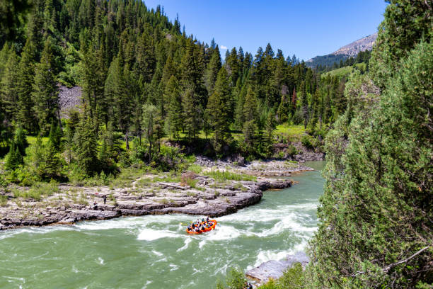 rafting en eau vive sur la rivière snake près de jackson, wyoming - rafting on a mountain river photos et images de collection