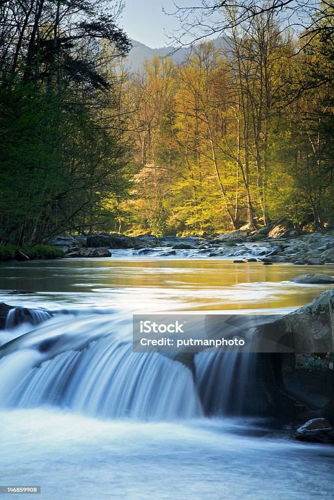 Cascata Smokies - Foto stock royalty-free di Grandi Montagne Fumose