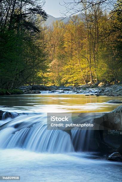 Smokies 滝 - グレートスモーキー山脈のストックフォトや画像を多数ご用意 - グレートスモーキー山脈, グレートスモーキー山脈国立公園, 日の出