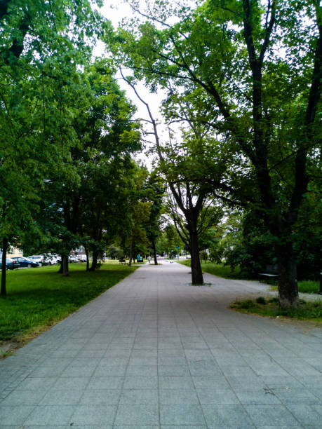 istock Long pavement in park through green trees and bushes 1468599152