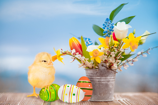 Close up of homemade decorative basket with yellow delicate daffodils around the handler to put Easter eggs on the kitchen table.