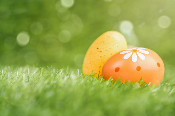 easter eggs on fresh green grass with bokeh lights - easter egg bildbanksfoton och bilder
