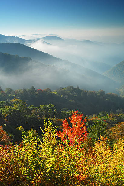 秋は今後 - tennessee great smoky mountains great smoky mountains national park north carolina ストックフォトと画像